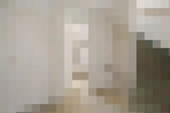 Distelvlinderberm 98 Houten thumbnail 19