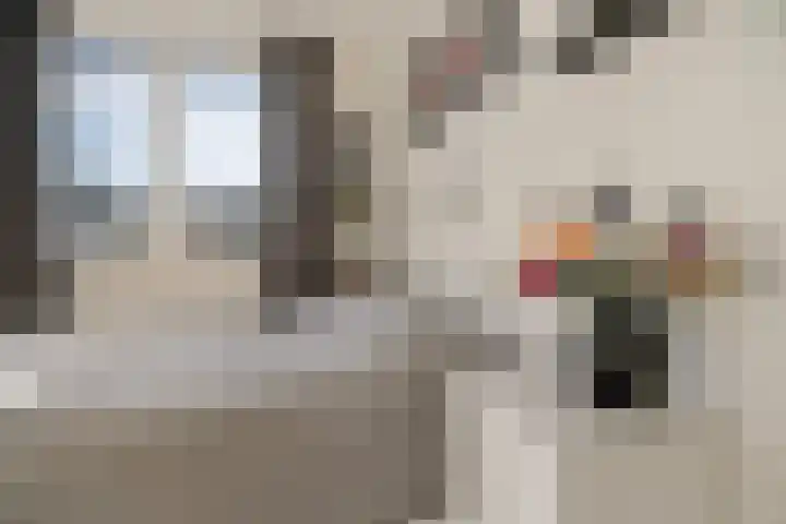 Distelvlinderberm 98 Houten thumbnail 20