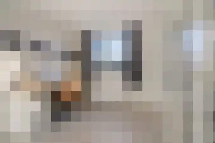 Distelvlinderberm 98 Houten thumbnail 22