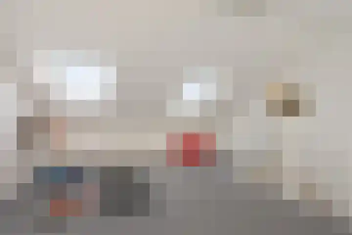 Distelvlinderberm 98 Houten thumbnail 32