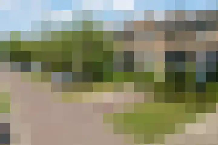 Distelvlinderberm 98 Houten thumbnail 34