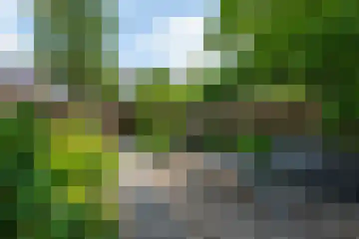 Distelvlinderberm 98 Houten thumbnail 36