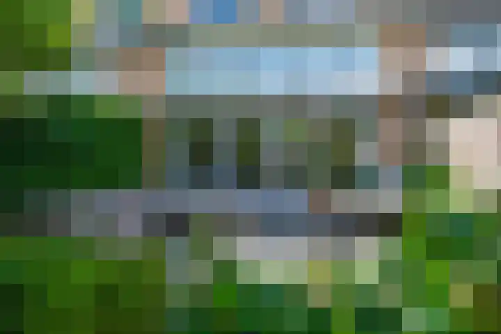 Distelvlinderberm 98 Houten thumbnail 38