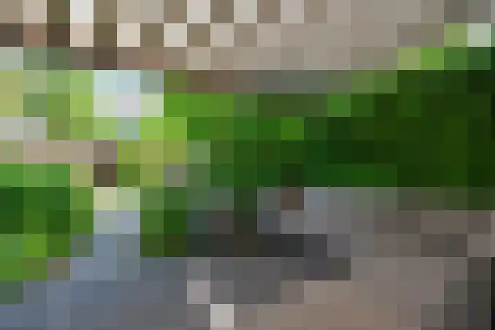 Distelvlinderberm 98 Houten thumbnail 40