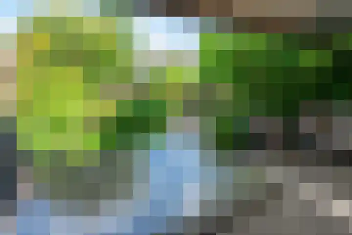 Distelvlinderberm 98 Houten thumbnail 42