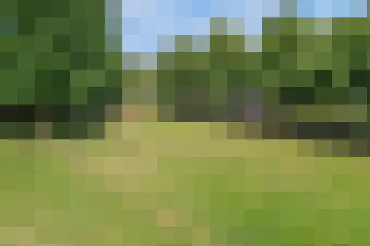 Distelvlinderberm 98 Houten thumbnail 45