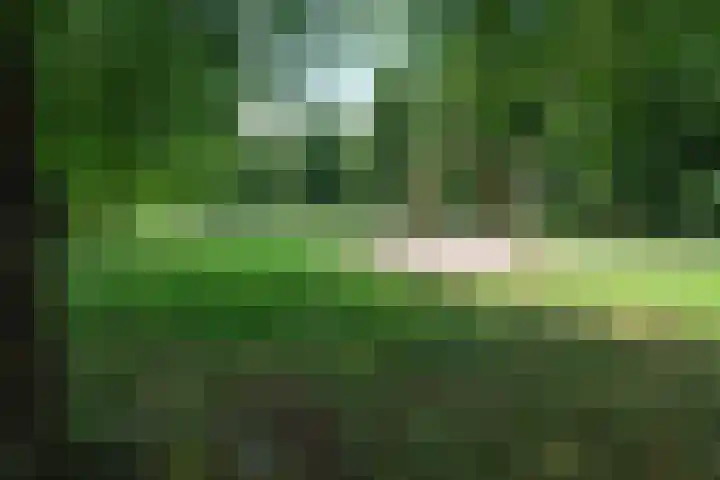 Distelvlinderberm 98 Houten thumbnail 47