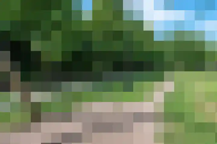 Distelvlinderberm 98 Houten thumbnail 48