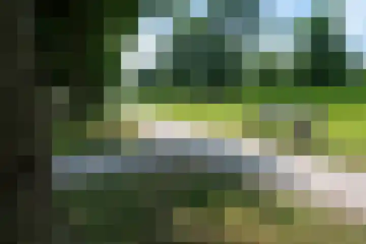 Distelvlinderberm 98 Houten thumbnail 49