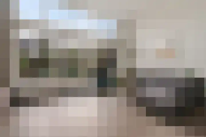 Distelvlinderberm 98 Houten thumbnail 5