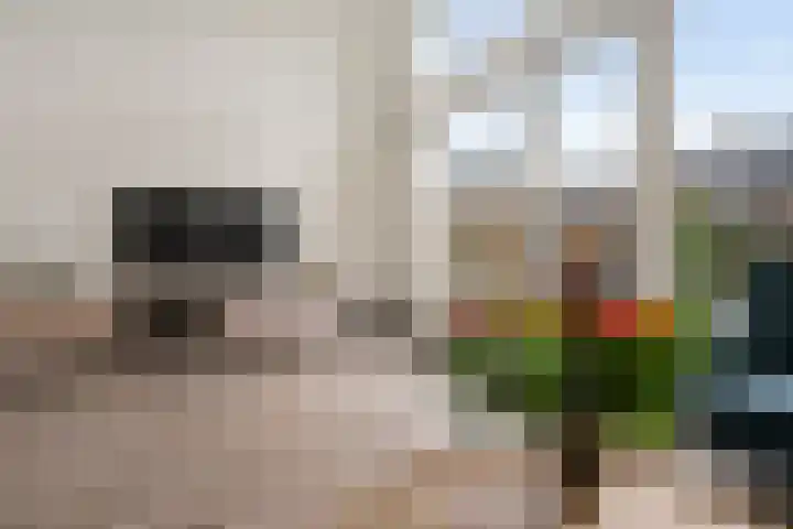Distelvlinderberm 98 Houten thumbnail 7