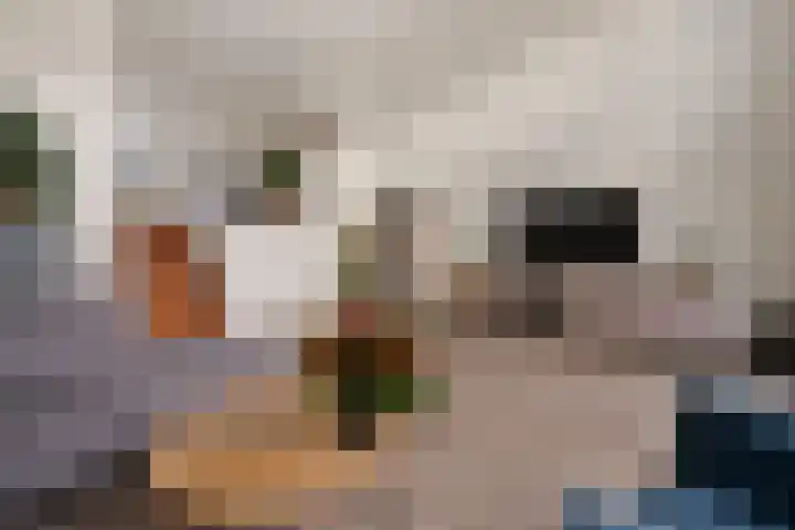 Distelvlinderberm 98 Houten thumbnail 8