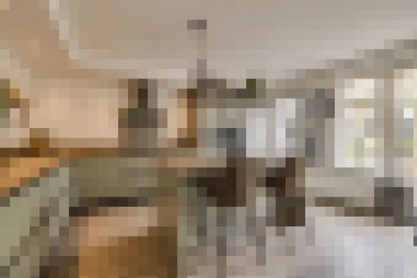 Distelvlinderlaan 23 Apeldoorn thumbnail 14