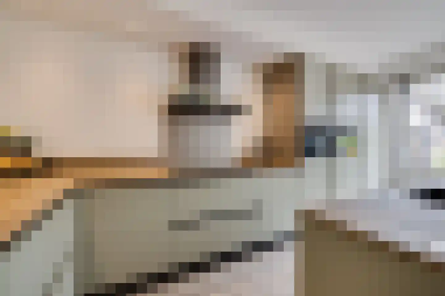 Distelvlinderlaan 23 Apeldoorn thumbnail 16