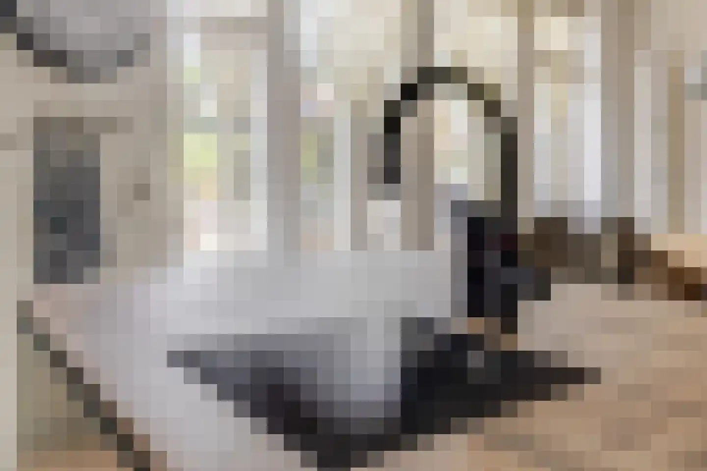 Distelvlinderlaan 23 Apeldoorn thumbnail 18