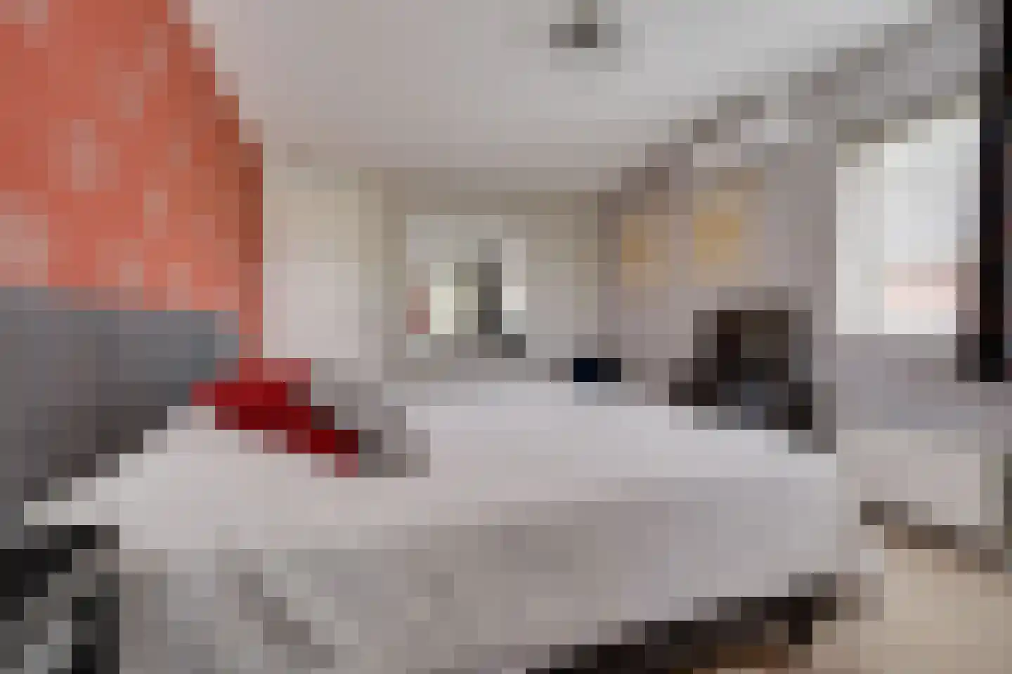 Distelvlinderlaan 23 Apeldoorn thumbnail 25