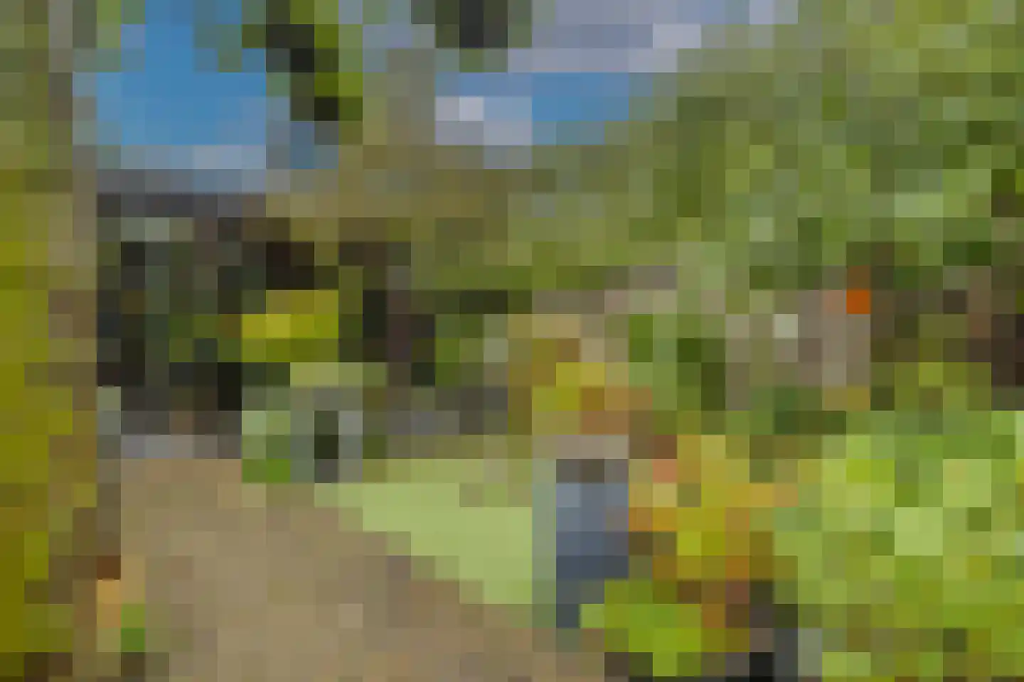 Distelvlinderlaan 23 Apeldoorn thumbnail 46