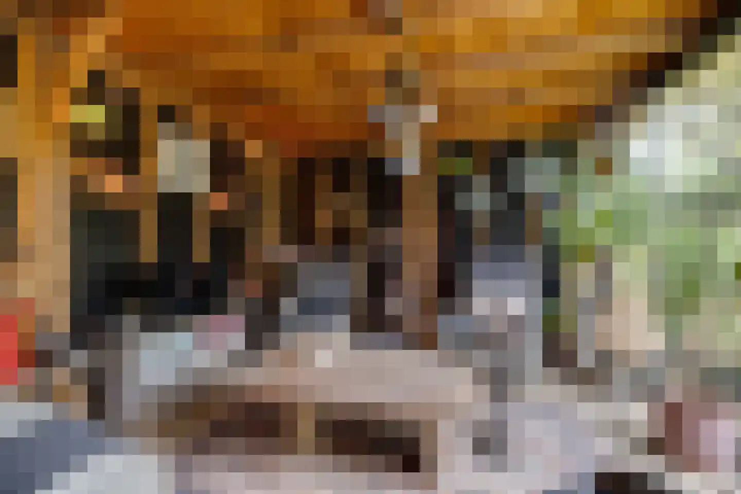Distelvlinderlaan 23 Apeldoorn thumbnail 49