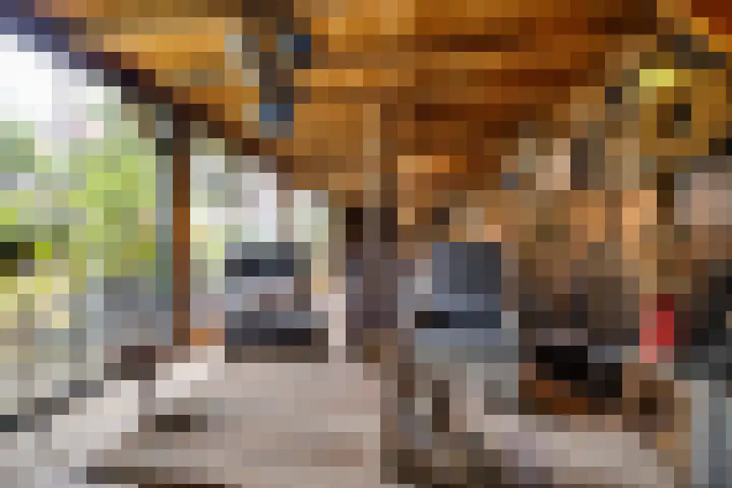 Distelvlinderlaan 23 Apeldoorn thumbnail 50