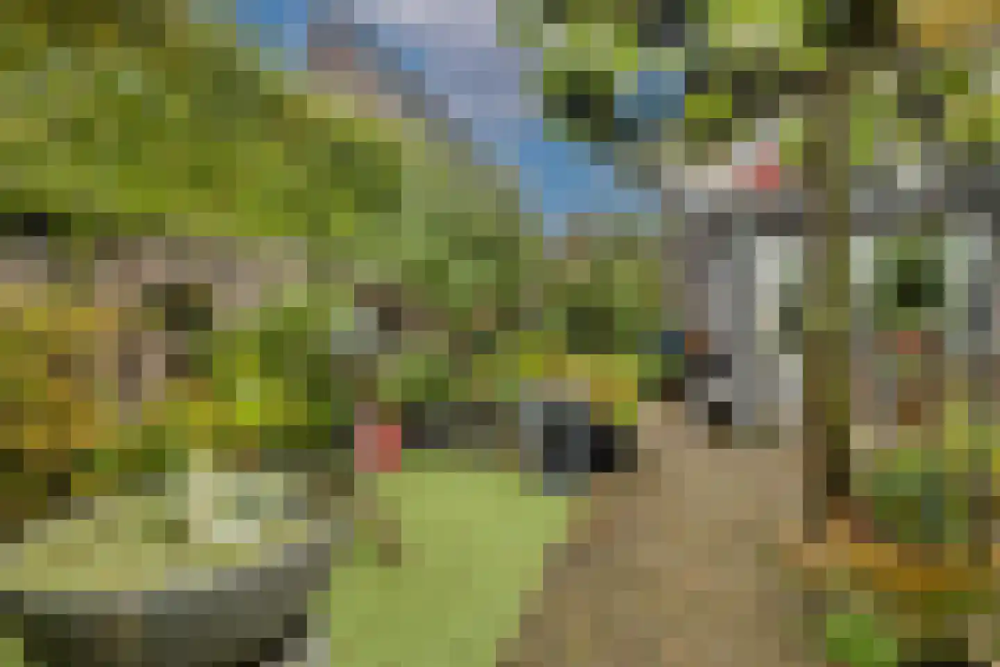 Distelvlinderlaan 23 Apeldoorn thumbnail 51