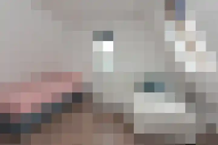 Distelvlinderstraat 21 Aalsmeer thumbnail 20