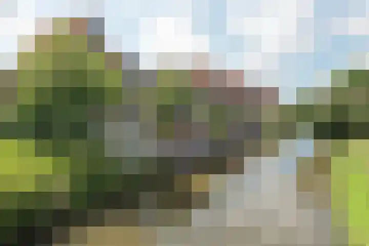 Distelvlinderstraat 21 Aalsmeer thumbnail 25