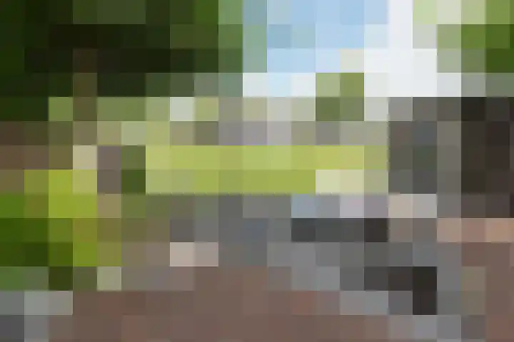 Distelvlinderstraat 21 Aalsmeer thumbnail 5