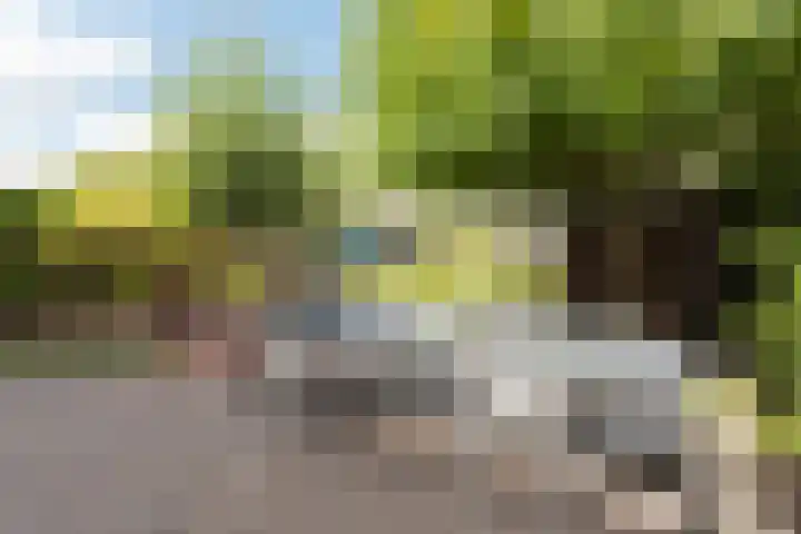 Distelvlinderstraat 21 Aalsmeer thumbnail 6