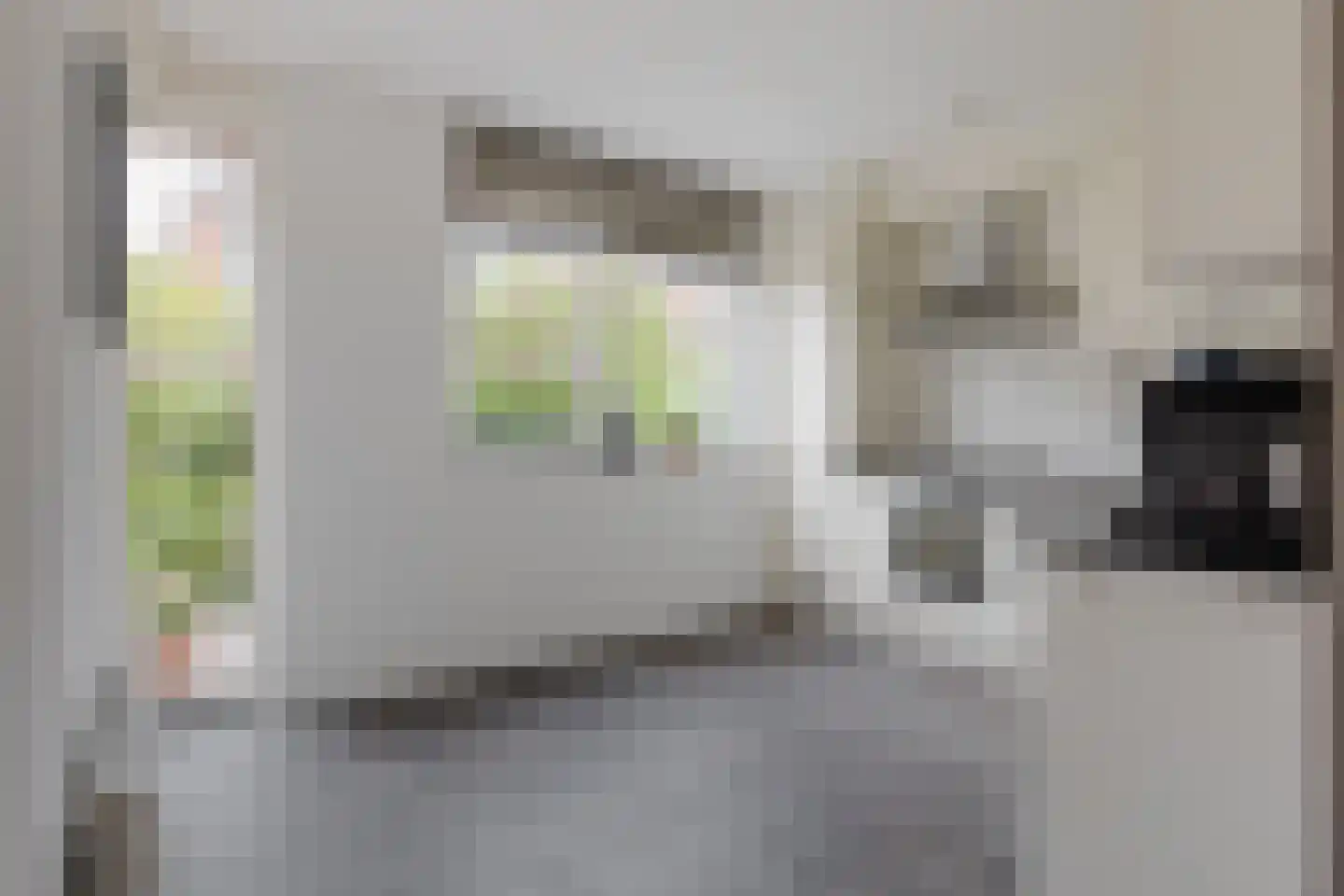 Distelvlinderstraat 6 Aalsmeer thumbnail 12