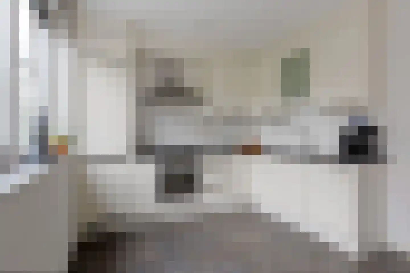 Distelvlinderstraat 6 Aalsmeer thumbnail 13