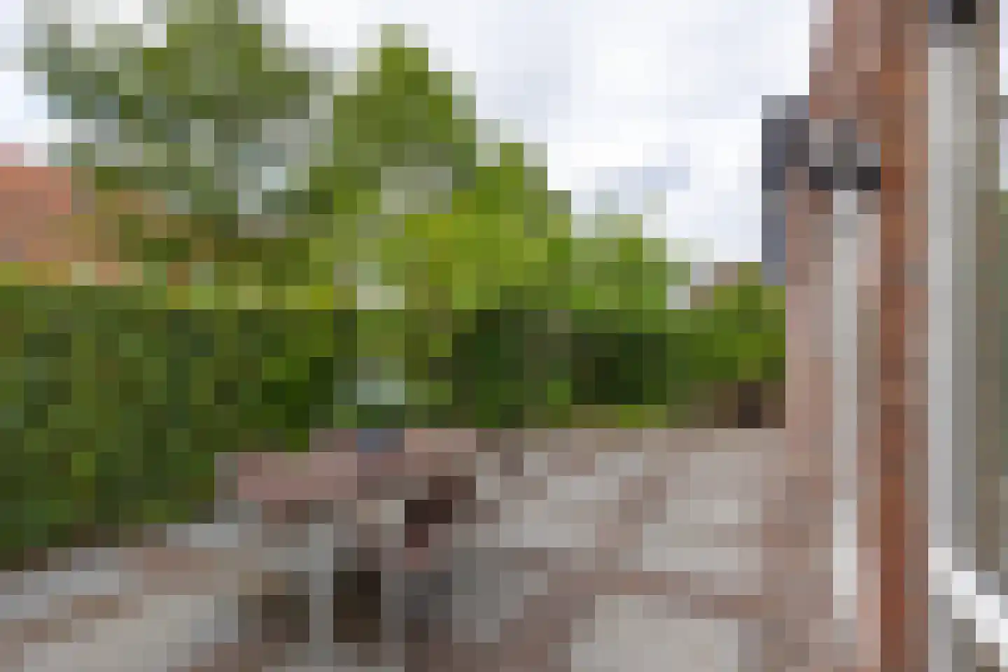 Distelvlinderstraat 6 Aalsmeer thumbnail 14