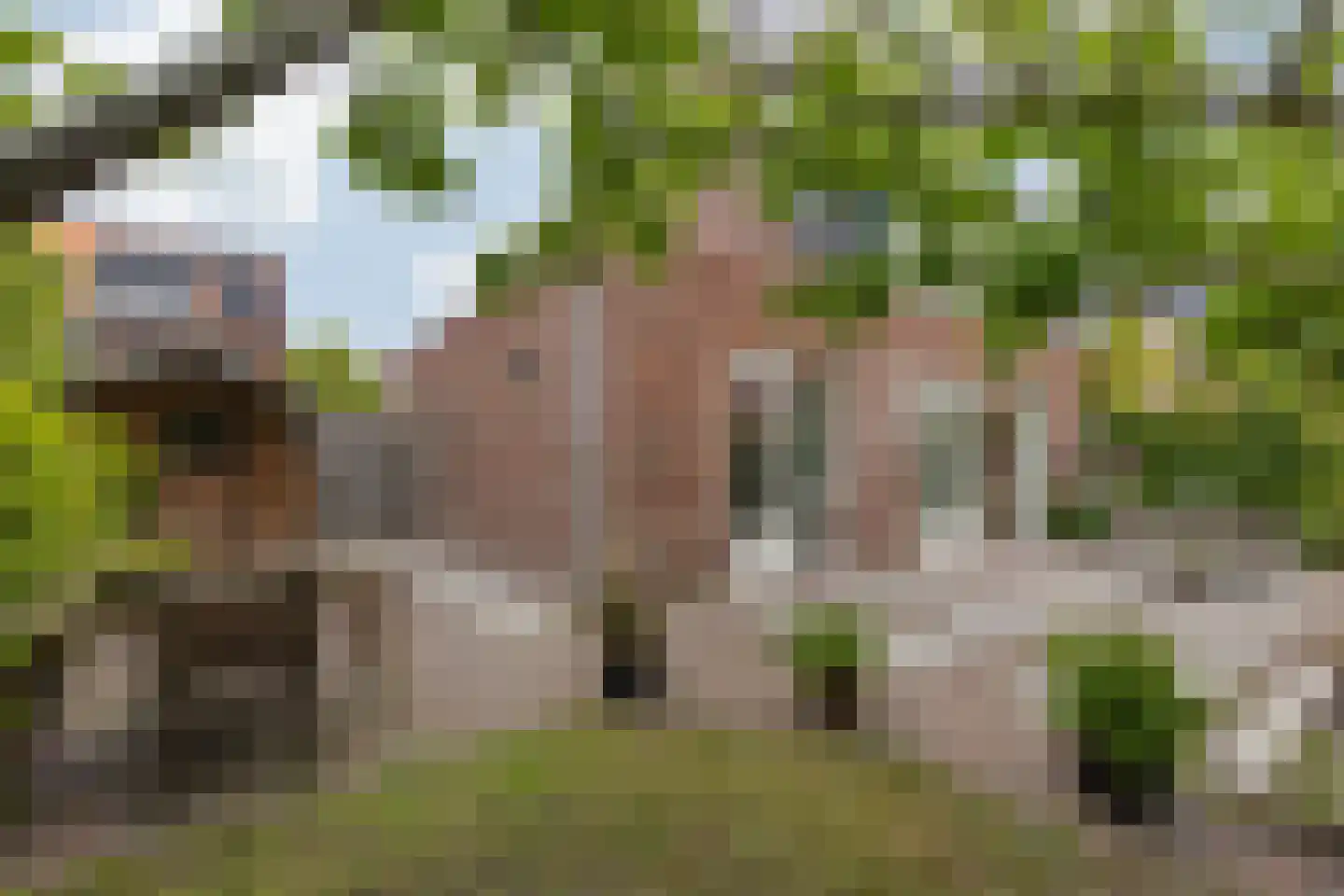 Distelvlinderstraat 6 Aalsmeer thumbnail 17