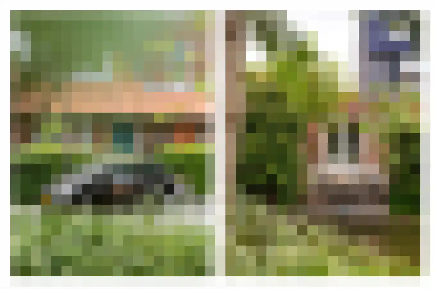 Distelvlinderstraat 6 Aalsmeer thumbnail 19