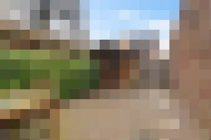 Distelvlinderstraat 6 Aalsmeer thumbnail 33