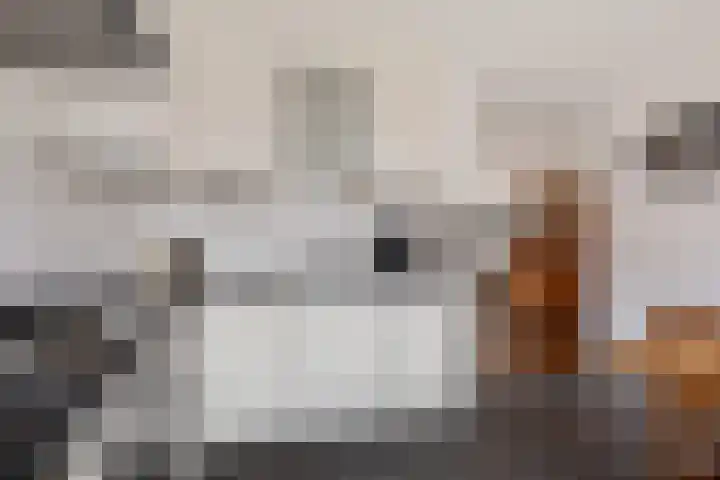 Distelvlinderstraat 6 Aalsmeer thumbnail 4