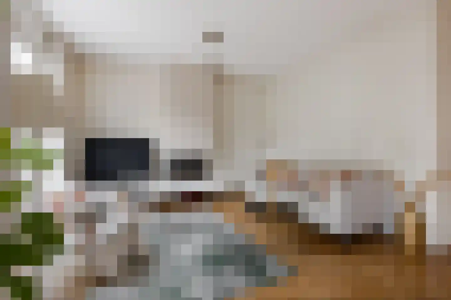 Distelvlinderstraat 6 Aalsmeer thumbnail 5