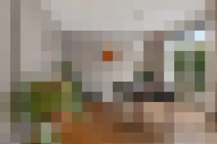 Distelvlinderstraat 6 Aalsmeer thumbnail 7
