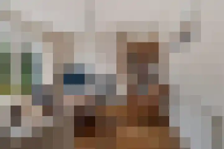 Distelvlinderstraat 6 Aalsmeer thumbnail 8