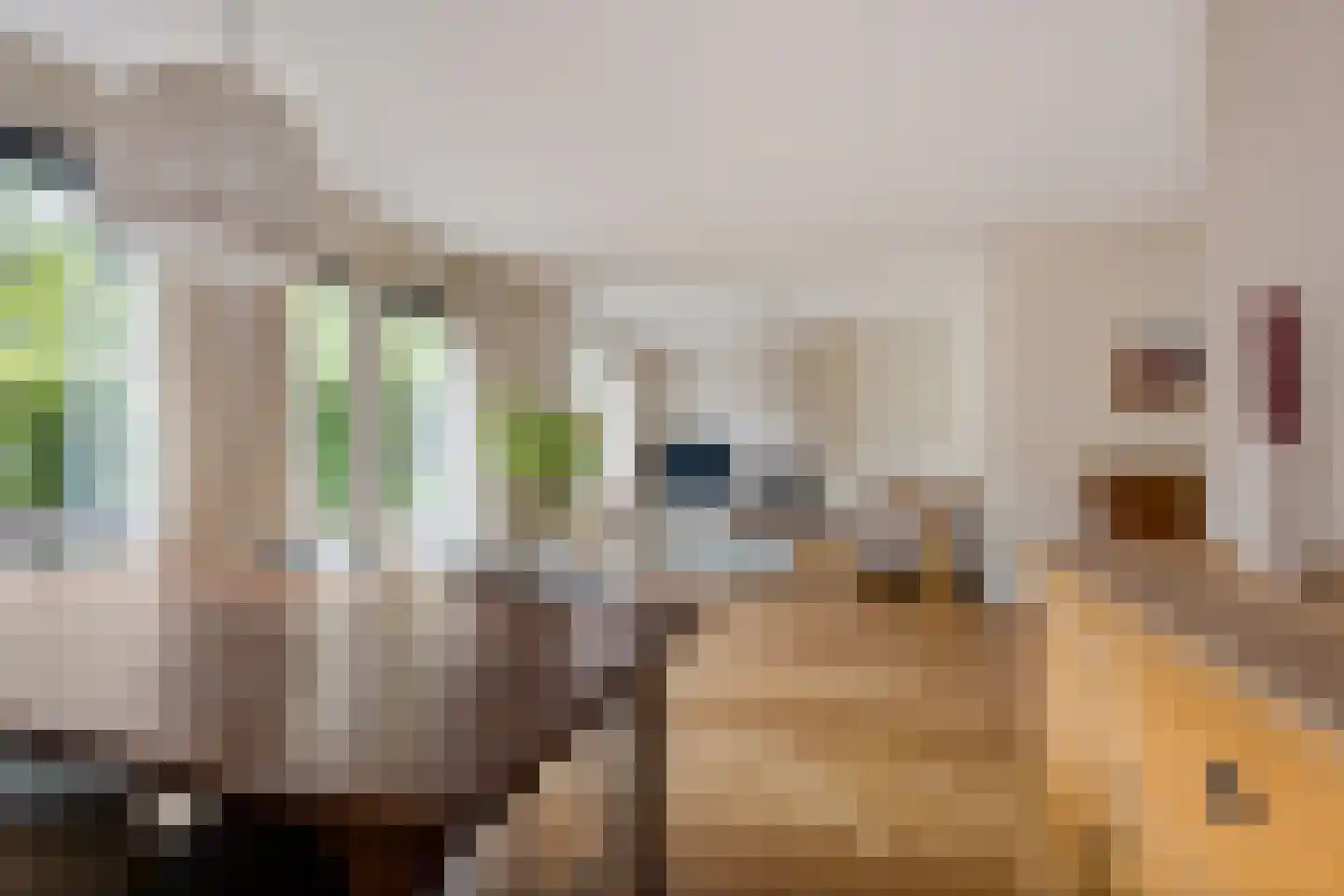 Distelvlinderstraat 6 Aalsmeer thumbnail 9