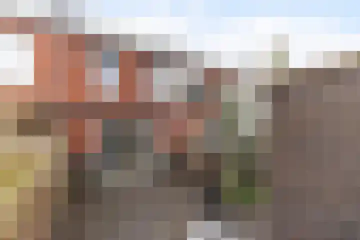 Distelvlinderstraat 8 Gouda thumbnail 38