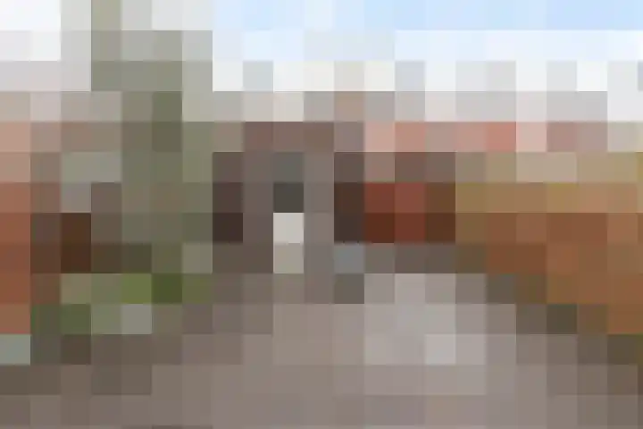 Distelvlinderstraat 8 Gouda thumbnail 4