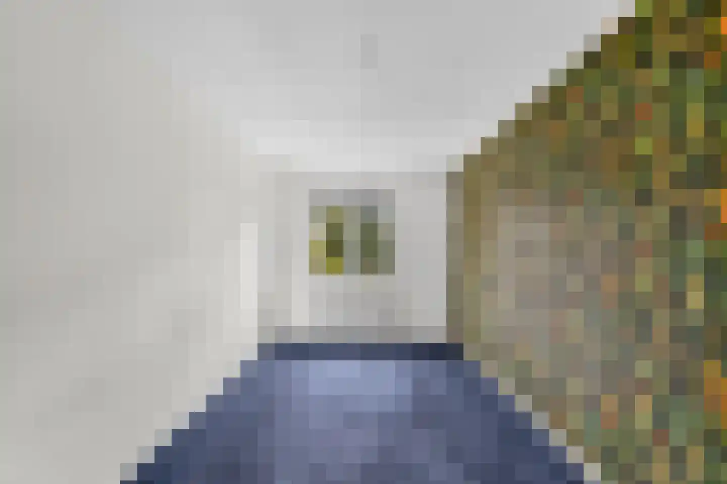 Distelvlinderweg 11 Diemen thumbnail 20