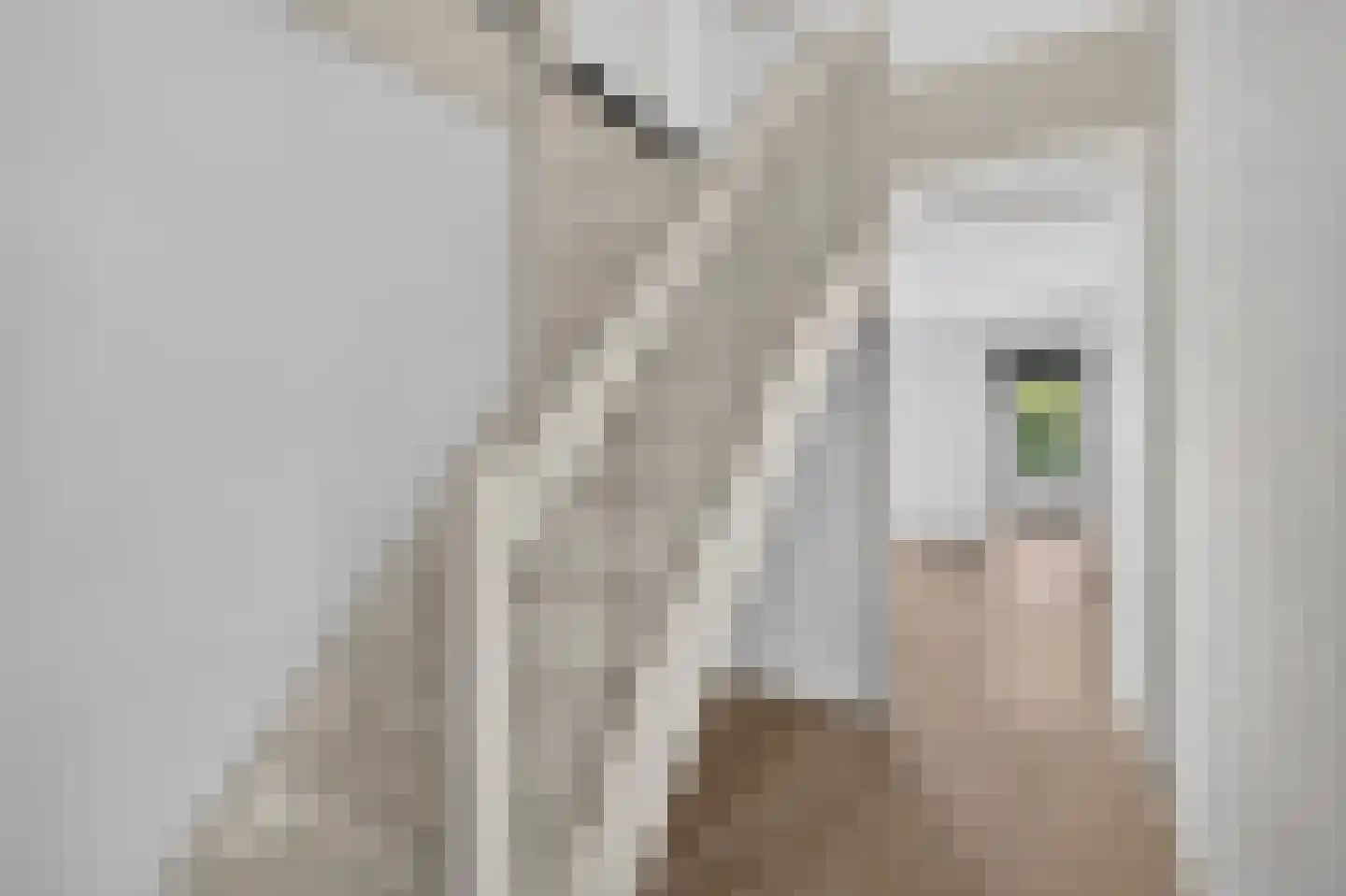 Distelvlinderweg 11 Diemen thumbnail 7