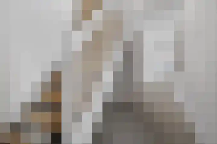 Distelvlinderweg 3 Diemen thumbnail 17