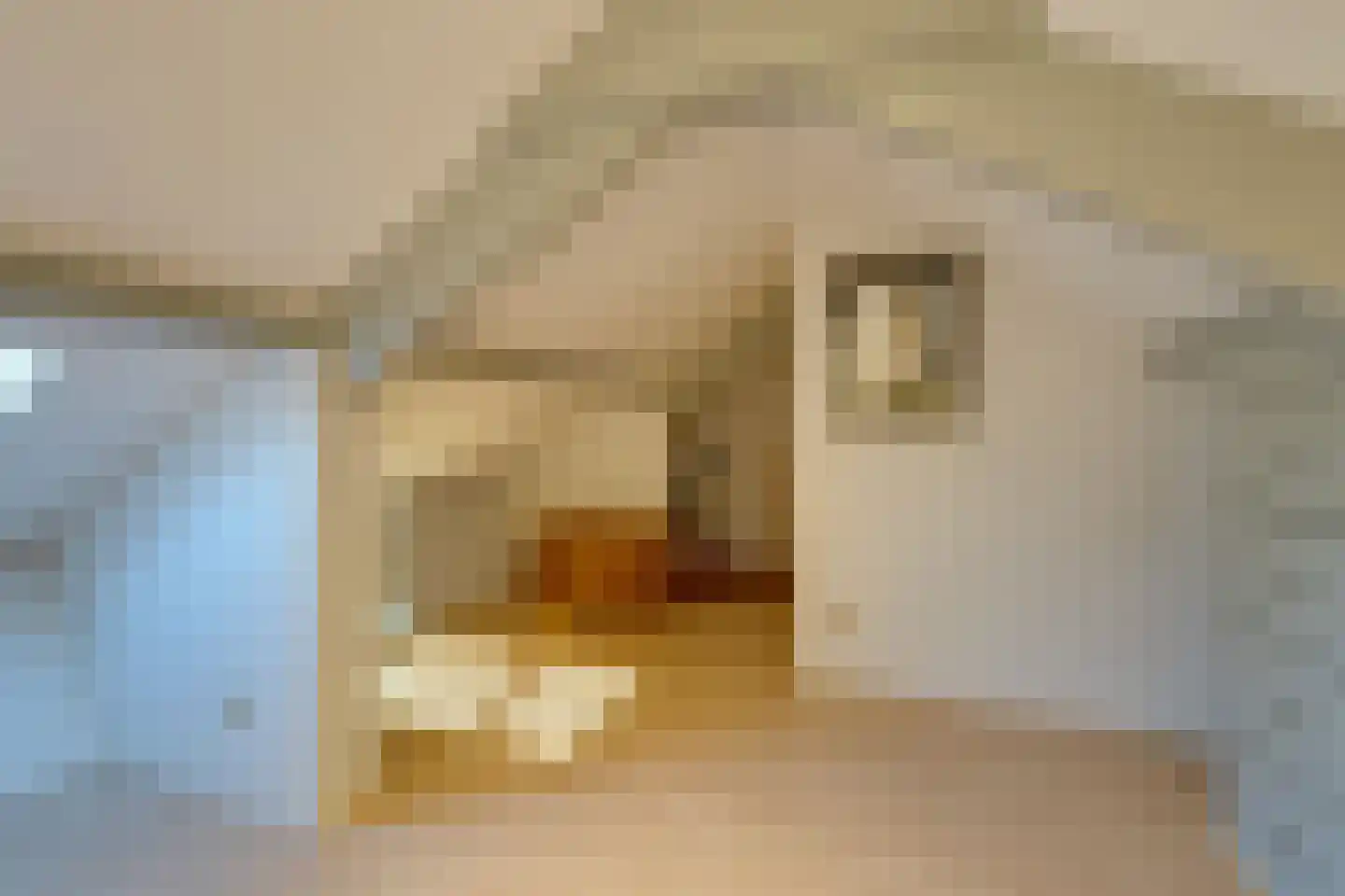 Distelvoorstraat 37 Amsterdam thumbnail 27
