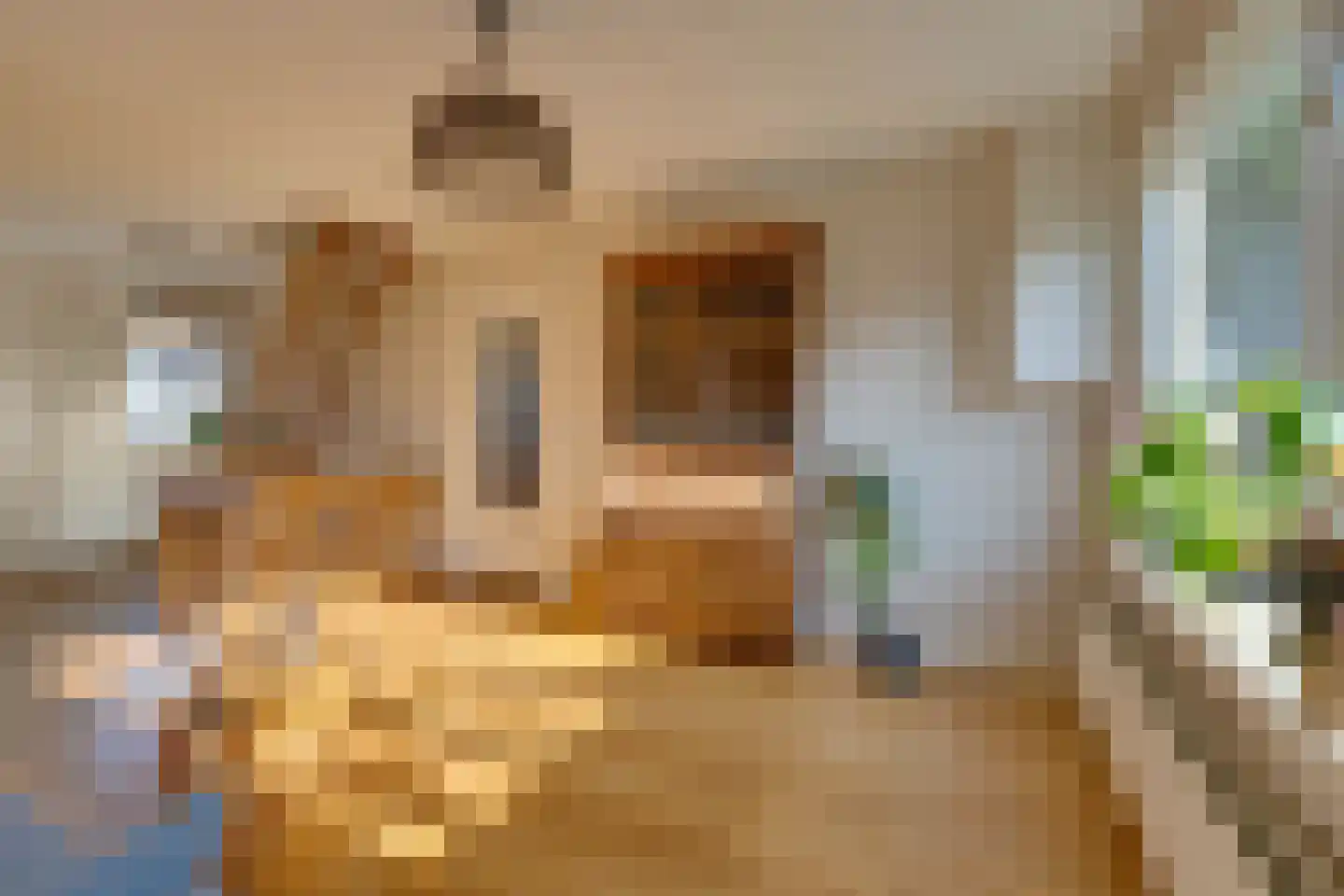 Distelvoorstraat 37 Amsterdam thumbnail 5