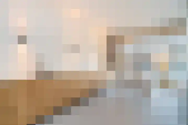 Distelweg 299 Amsterdam thumbnail 9