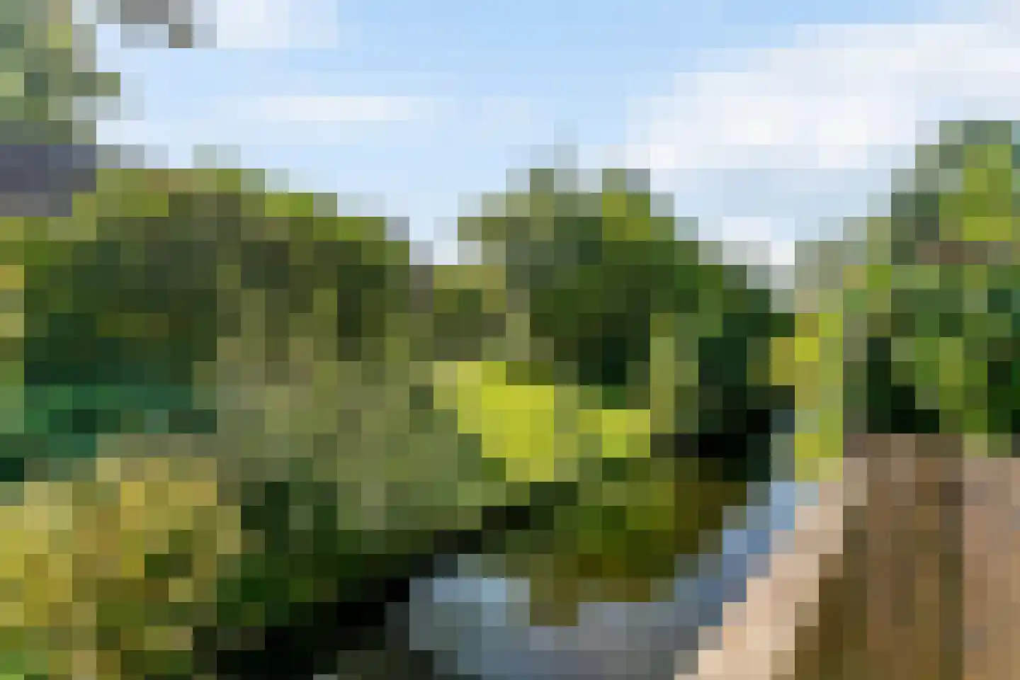 Distelweg 49 Voorhout thumbnail 4