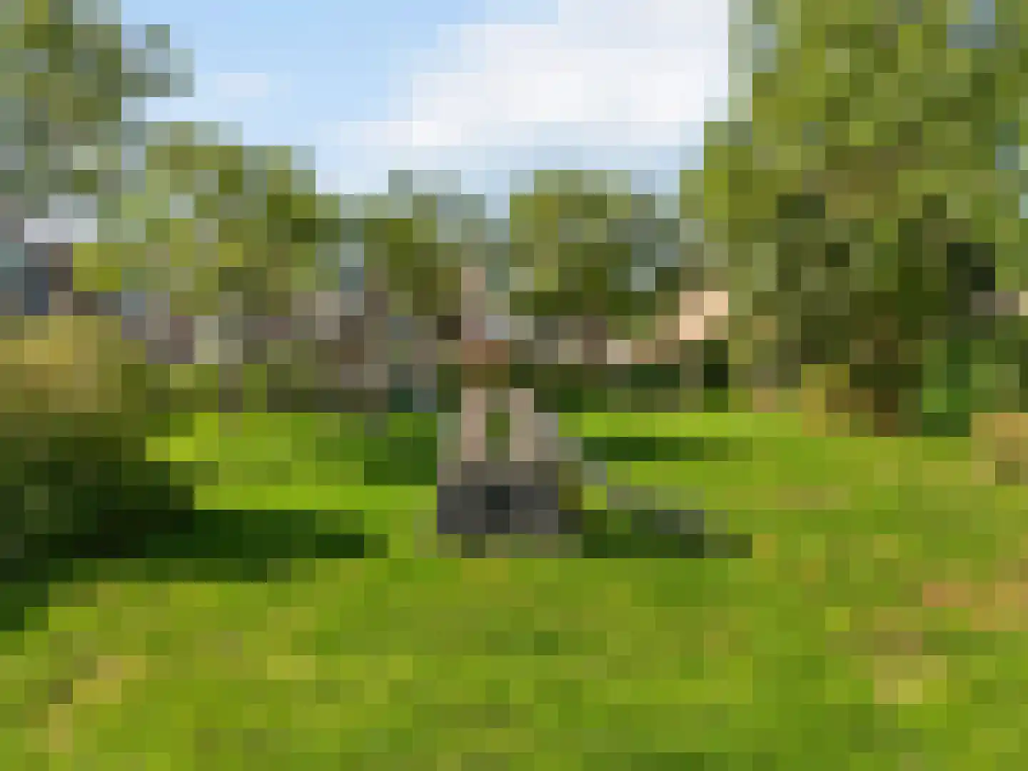 Distelweg 49 Voorhout thumbnail 40