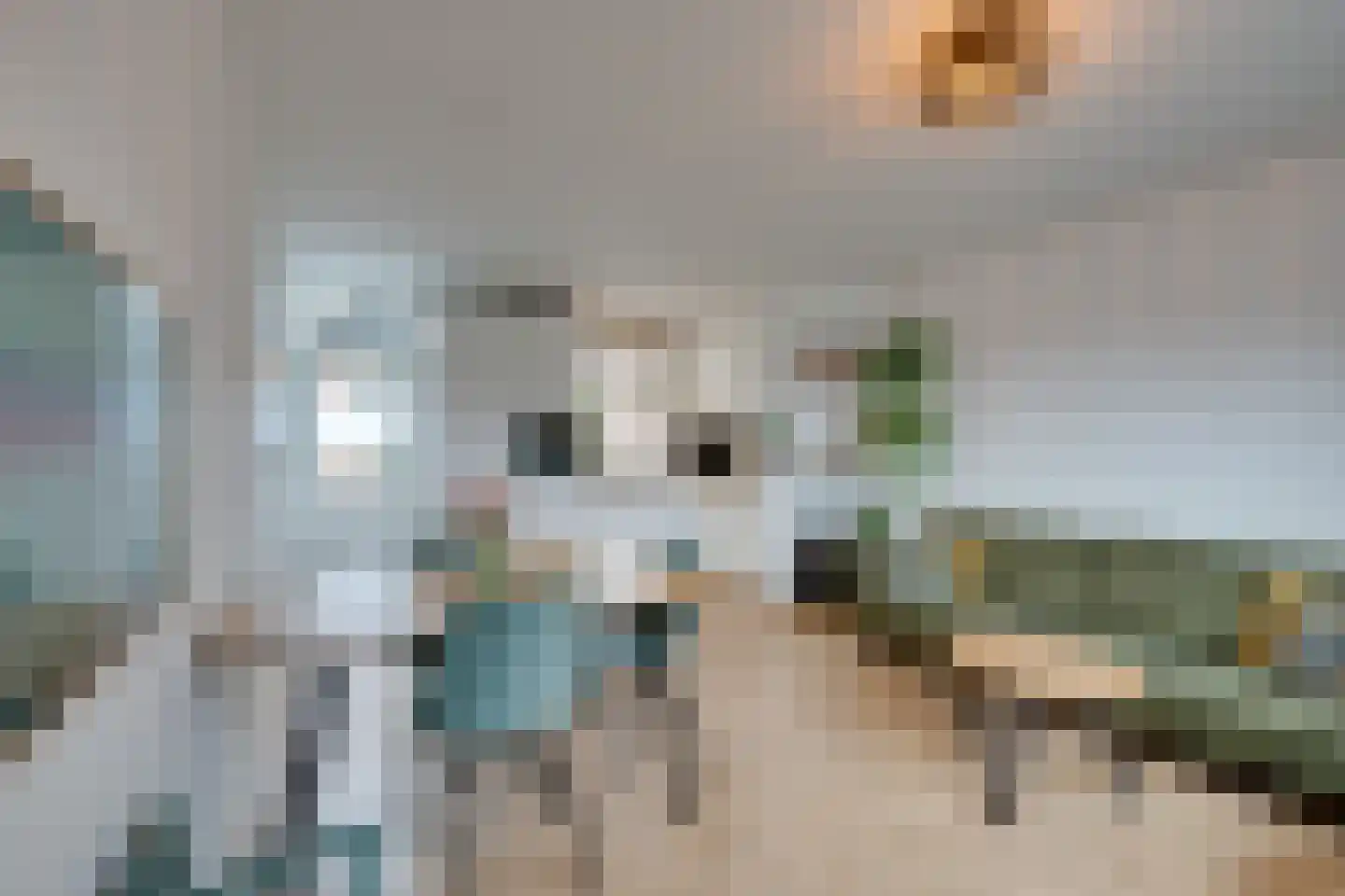 Distelweg 56 Amsterdam foto 3